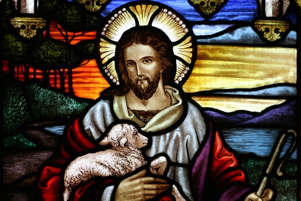 Húsvét 4. vasárnapja – Jó pásztor vasárnapja