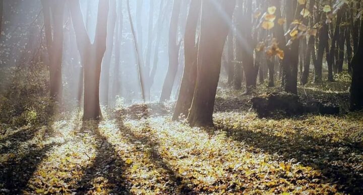 2025. NOVEMBER 3 ÉS 9 KÖZÖTT