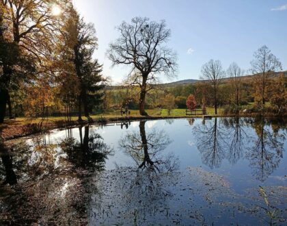 2025. OKTÓBER 20 ÉS 26 KÖZÖTT