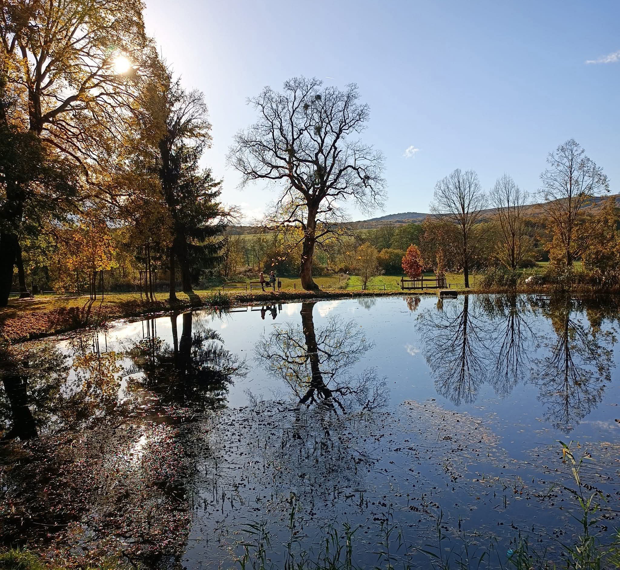 2025. OKTÓBER 20 ÉS 26 KÖZÖTT